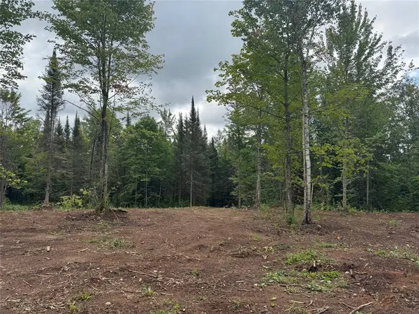 40 acres on FR 1769, Cable, WI 54821