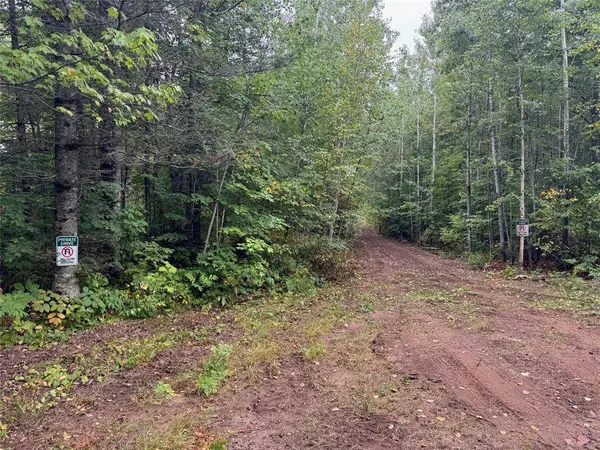 40 acres on FR 1769, Cable, WI 54821
