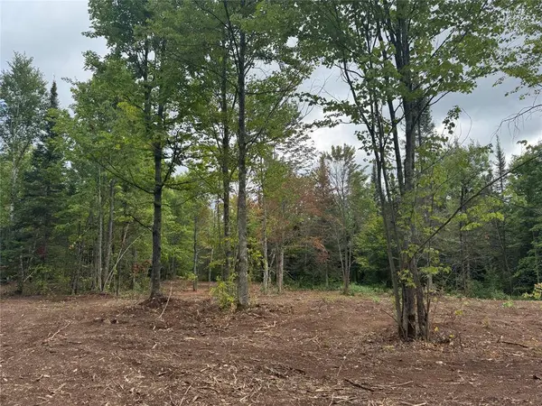 40 acres on FR 1769, Cable, WI 54821