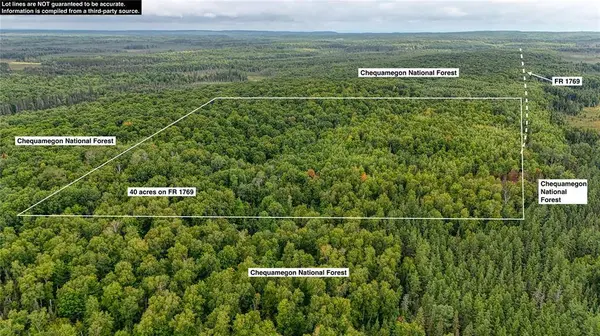 40 acres on FR 1769, Cable, WI 54821