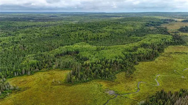 40 acres on FR 1769, Cable, WI 54821