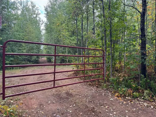 40 acres on FR 1769, Cable, WI 54821