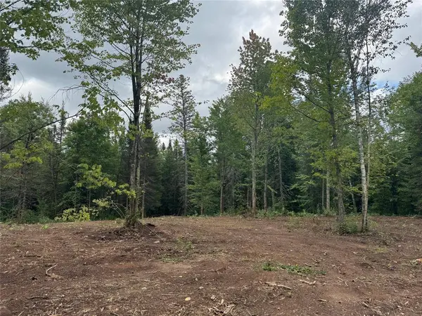 40 acres on FR 1769, Cable, WI 54821