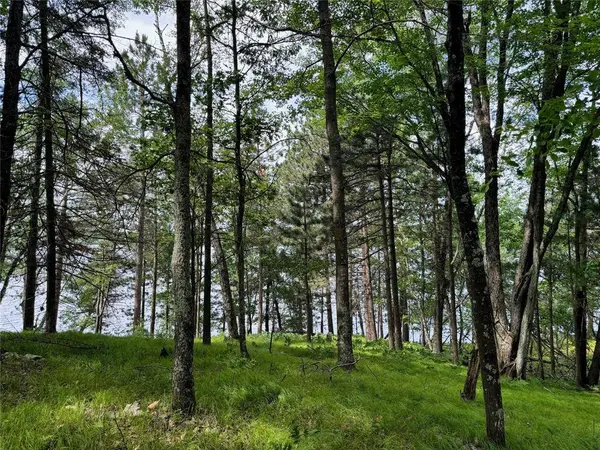 11149 Merganser Lane, Hayward, WI 54843