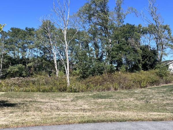Lot 3 Clover WAY