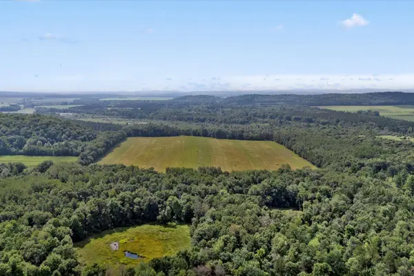 142 Acres 520th ST, Hay River Twp, WI 54772