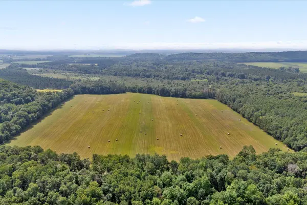 142 Acres 520th ST, Hay River Twp, WI 54772