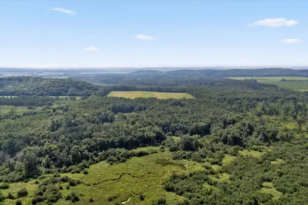 142 Acres 520th ST, Hay River Twp, WI 54772