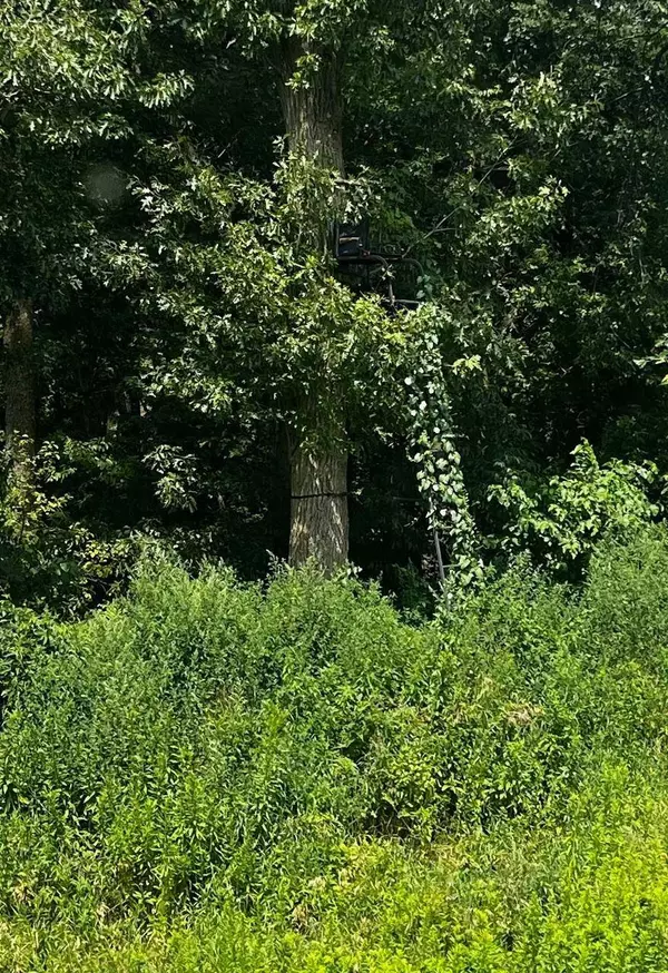 N33XX W Bluff Rd N, Stockholm, WI 54769