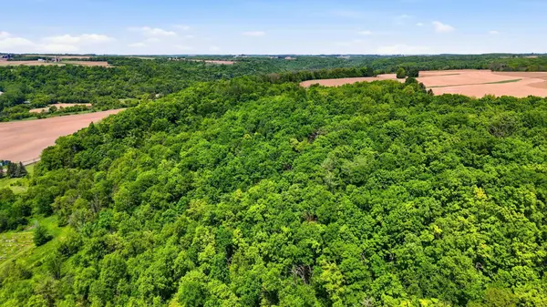 31 acres Cty Rd. S, Plum City, WI 54761