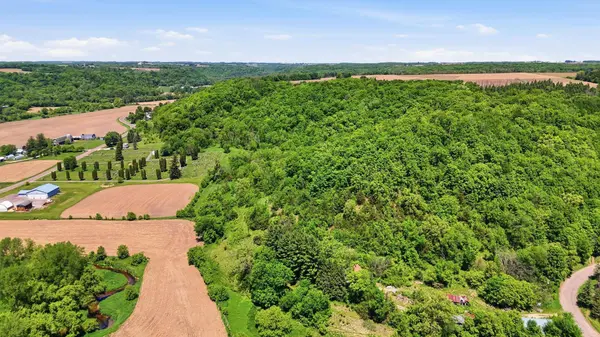 31 acres Cty Rd. S, Plum City, WI 54761