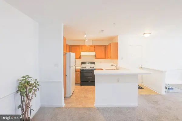 5227 WAGON SHED CIR #5227, Owings Mills, MD 21117