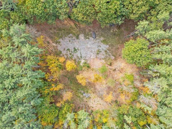 41 Foss Flats RD, Sandwich, NH 03259