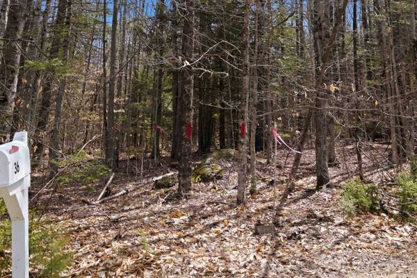 0 Puckerbrush RD, Campton, NH 03223