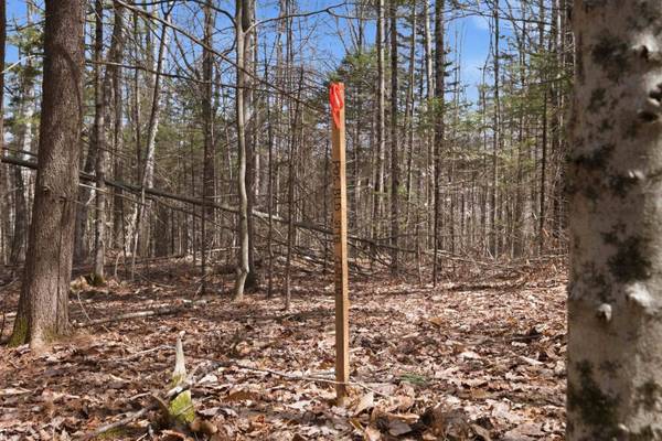 0 Puckerbrush RD, Campton, NH 03223