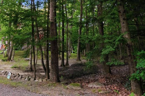 55 Mountain View DR, Moultonborough, NH 03253