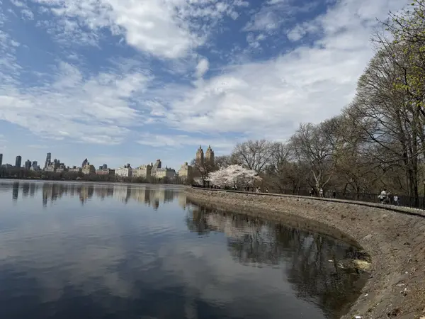 Manhattan Real Estate: What the Numbers Actually Say This Week  