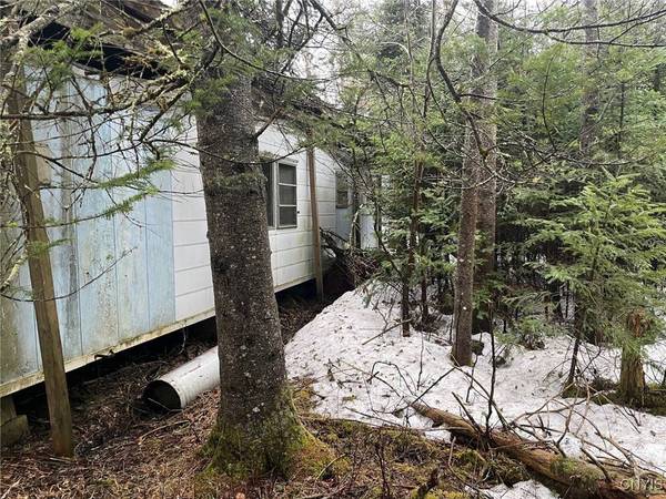 11028 Bellingertown RD, Forestport, NY 13338