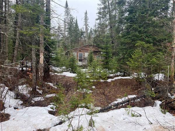 11028 Bellingertown RD, Forestport, NY 13338