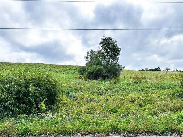 Buck RD, Fly Creek, NY 13337