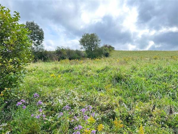 Buck RD, Fly Creek, NY 13337