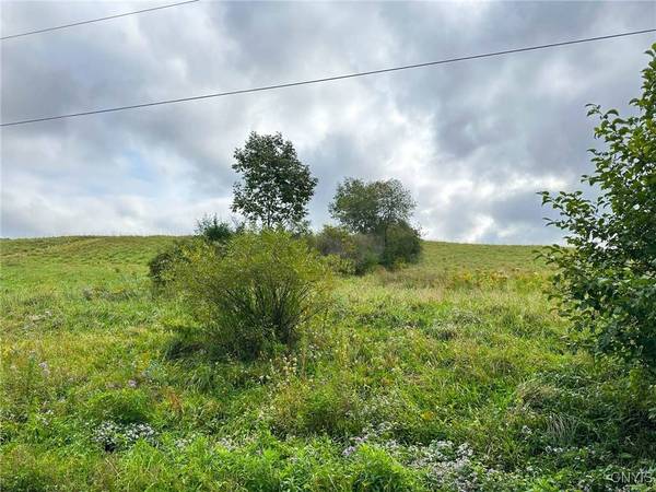 Buck RD, Fly Creek, NY 13337