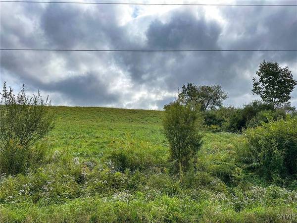 Buck RD, Fly Creek, NY 13337