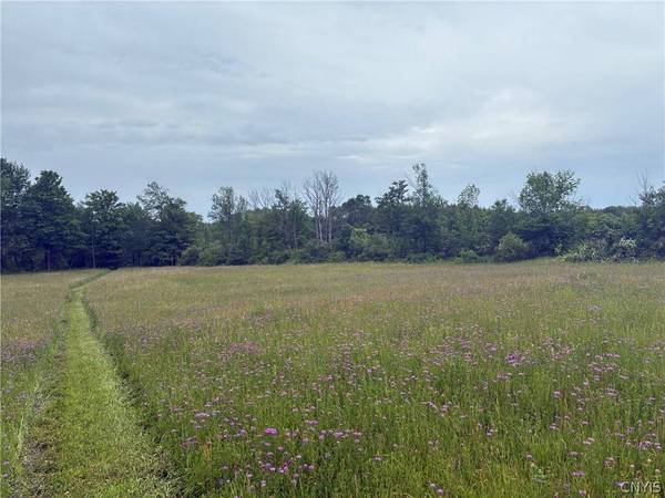 00 Starr Hill RD, Steuben, NY 13438