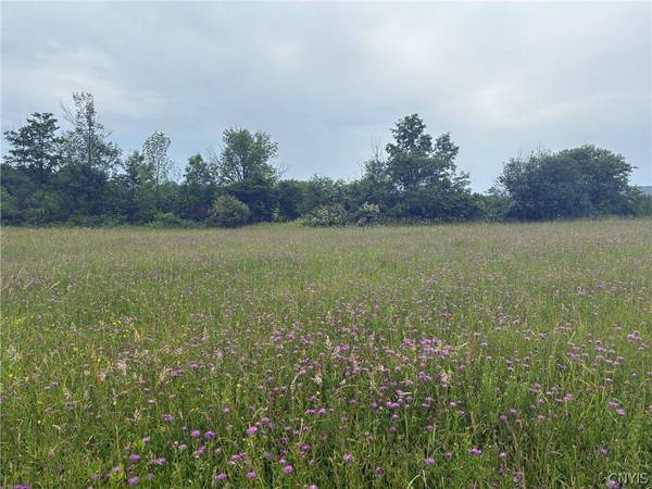 00 Starr Hill RD, Steuben, NY 13438