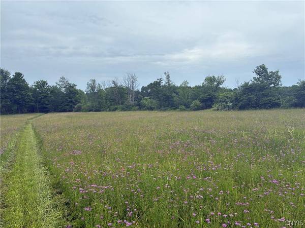 00 Starr Hill RD, Steuben, NY 13438