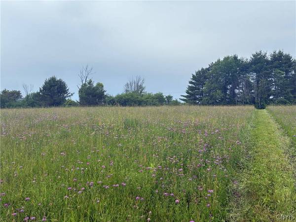 00 Starr Hill RD, Steuben, NY 13438