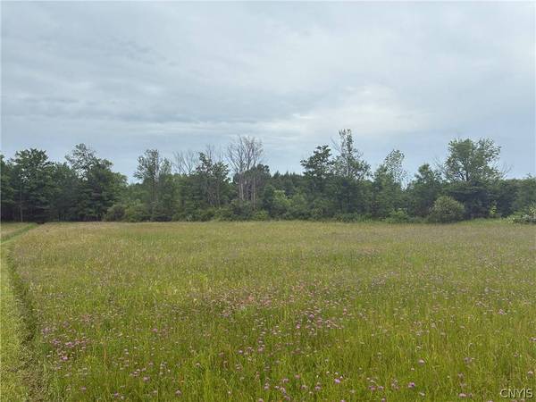 00 Starr Hill RD, Steuben, NY 13438