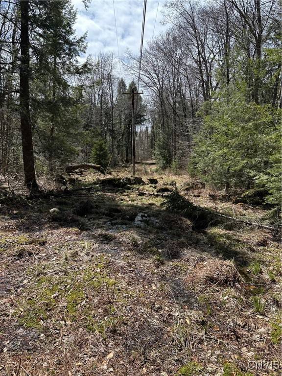 E Shore Rd, Stratford, NY 13470