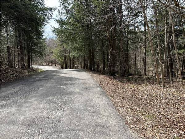 E Shore Rd, Stratford, NY 13470