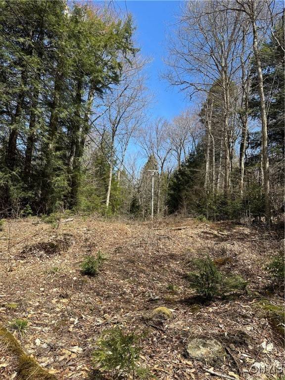 E Shore Rd, Stratford, NY 13470