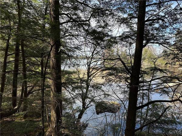 E Shore Rd, Stratford, NY 13470