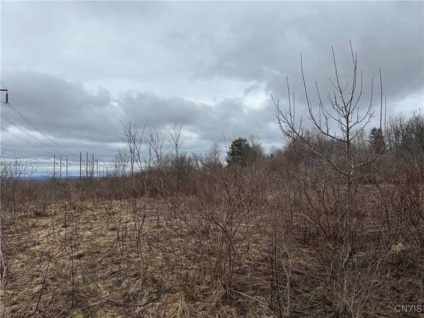 9853 Hazard RD, Marcy, NY 13403