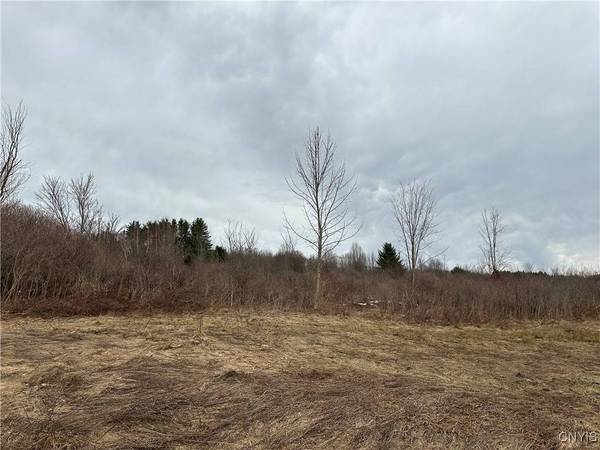 9853 Hazard RD, Marcy, NY 13403