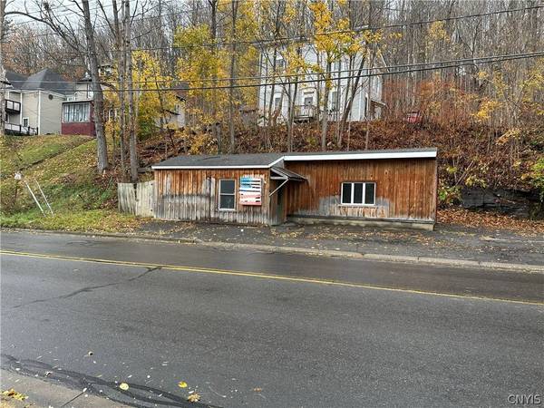 128 Chestnut ST, Oneonta, NY 13820