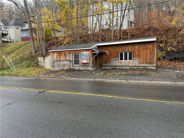 128 Chestnut ST, Oneonta, NY 13820