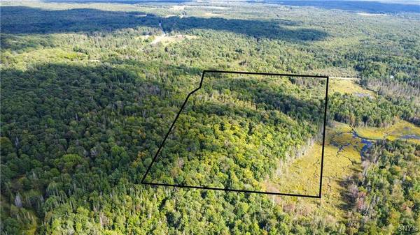 Moore RD, Turin, NY 13473