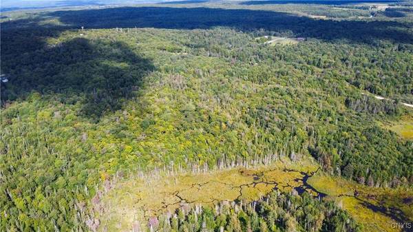 Moore RD, Turin, NY 13473