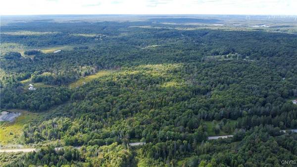 Moore RD, Turin, NY 13473