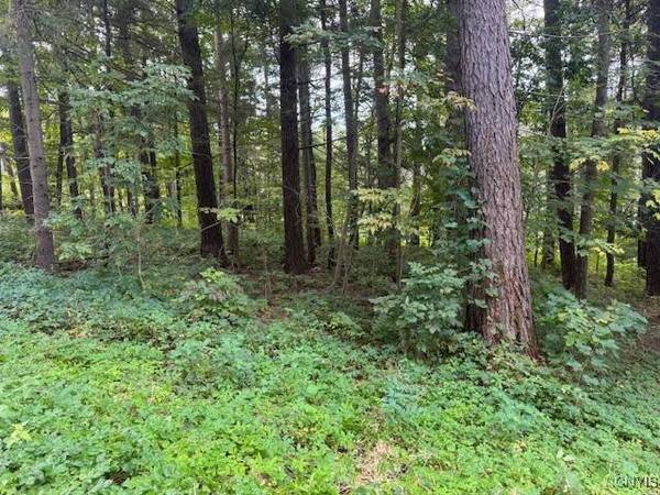 4042 Tuscarora RD, Erieville, NY 13061