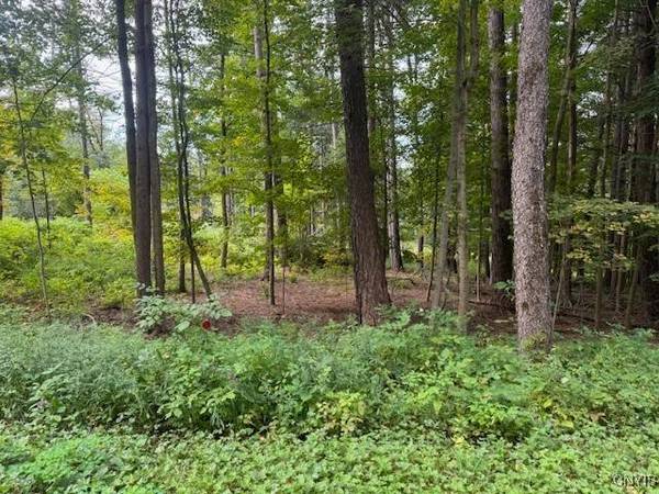 4042 Tuscarora RD, Erieville, NY 13061