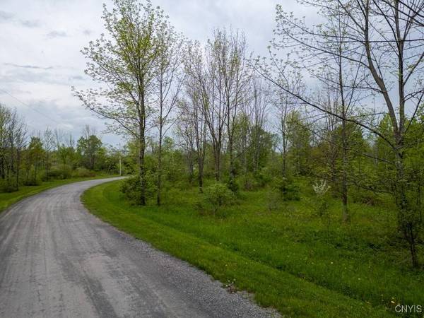 Cogar DR, Frankfort, NY 13340
