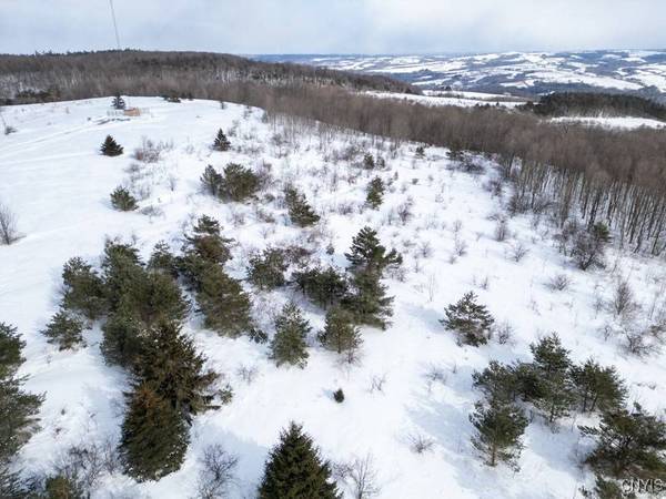 Cook Hill RD, Herkimer, NY 13350