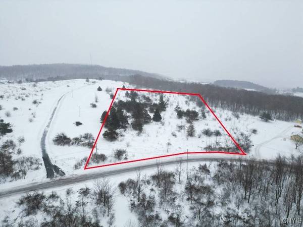 Cook Hill RD, Herkimer, NY 13350