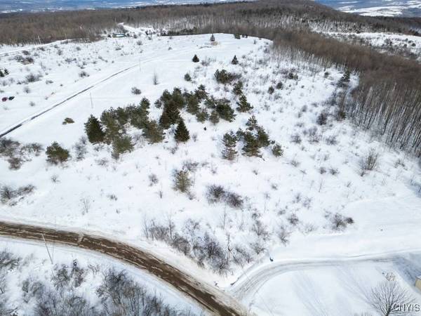 Cook Hill RD, Herkimer, NY 13350