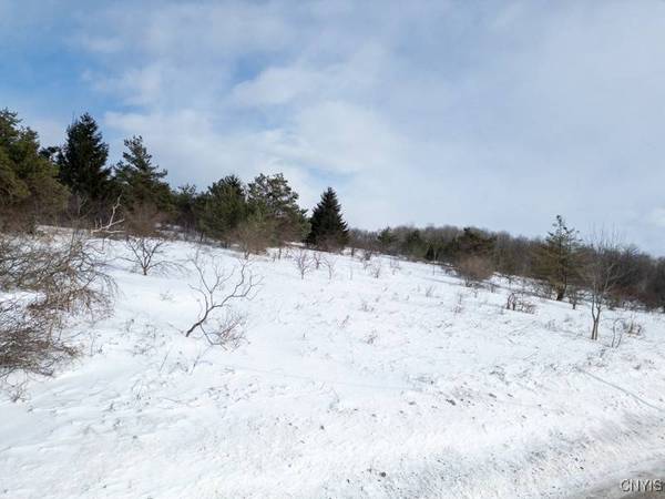Cook Hill RD, Herkimer, NY 13350